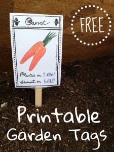 LimeTreeFruits.com // Free Garden Tags